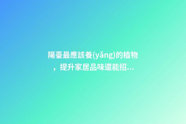 陽臺最應該養(yǎng)的植物，提升家居品味還能招好運氣、阻隔不良氣場